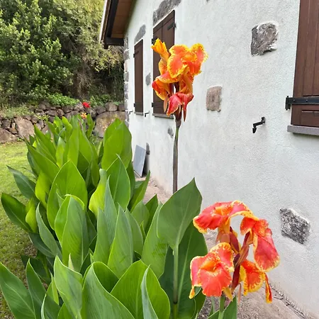 Casa Costera Шале